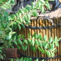 Charmehotel De stokerij te Oudenburg, West-Vlaanderen - Overnachten nabij Brugge, Oostende en De Haan